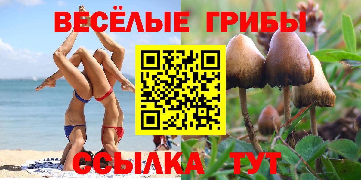 Бутурлиновка  Галлюциногенные грибы Psilocybe  Вход с VPN  Галлюциногенные грибы MAGIC MUSHROOMS 