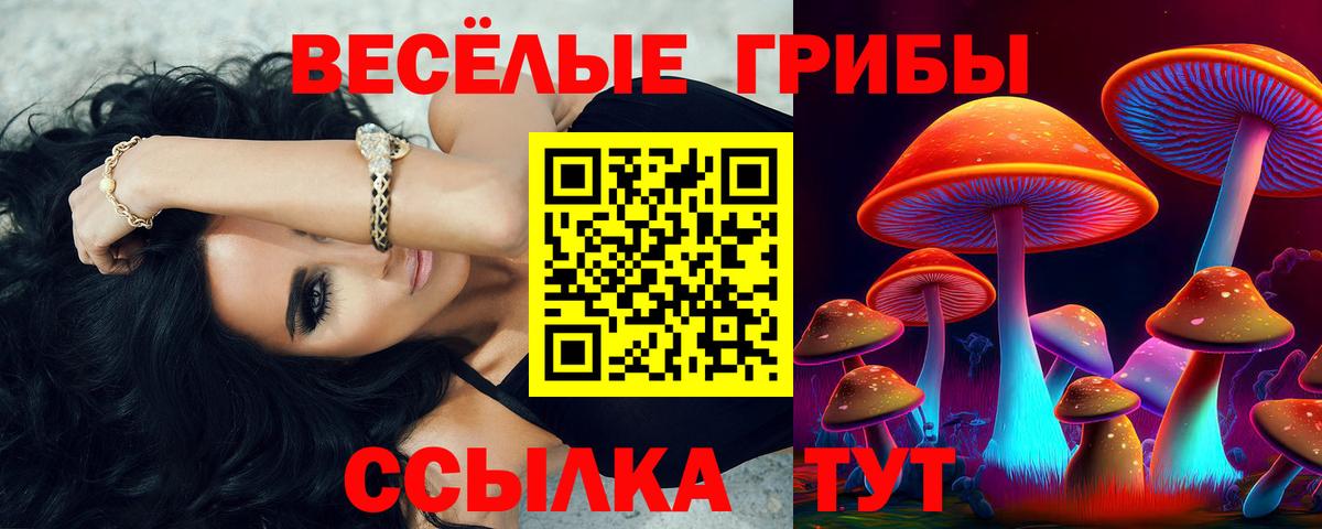 Галлюциногенные грибы мицелий Бутурлиновка